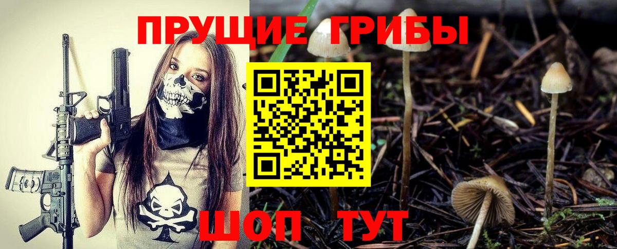 Псилоцибиновые грибы прущие грибы  Вход с VPN  Ревда 
